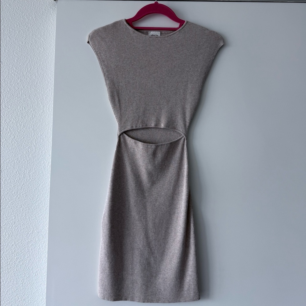 Aritzia Knit Dress Beige